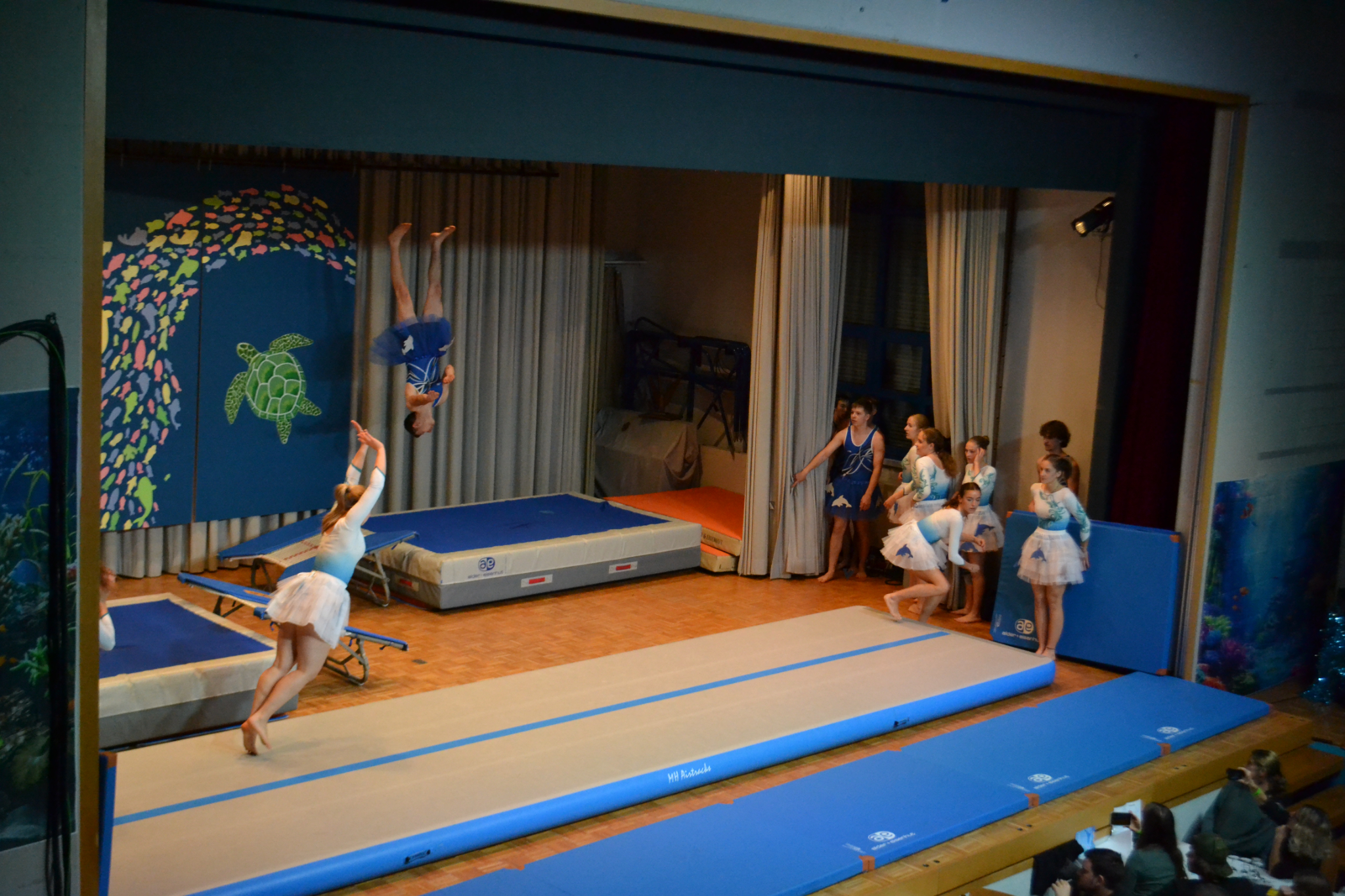 Bild2 (61)